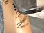 Immagine 6