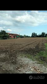 Terreno edificabile più terreno agricolo