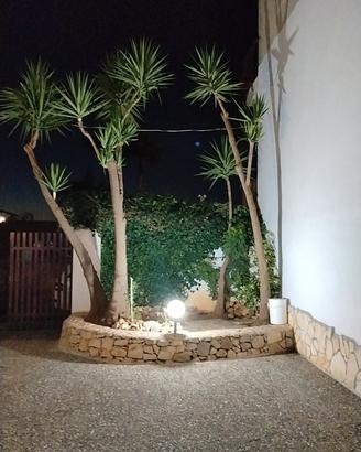 CURA DEL VERDE E GIARDINAGGIO