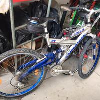 Bicicletta mountain bike