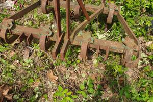 Estirpatore da vigneto