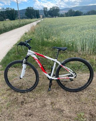 Bicicletta Faram Meteor da 29
