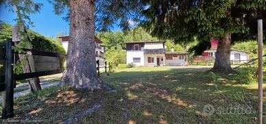 Casa singola_Loc. Stinsans_Forni di Sopra (UD)