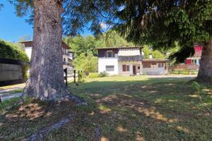 Casa singola_Loc. Stinsans_Forni di Sopra (UD)