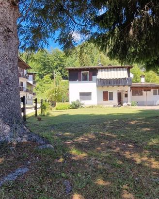 Casa singola_Loc. Stinsans_Forni di Sopra (UD)