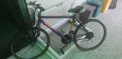 Bicicletta Mountain bike