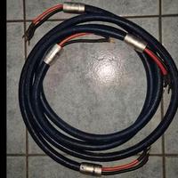 CAVI HIFI DIFFUSORI/SPEAKER RICABLE SUPREME( TOP)