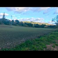 Terreno agricolo