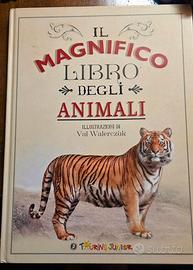 Libri