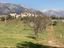 Immagine 21