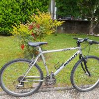 Mtb Scout