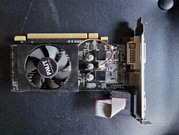 GEFORCE NVIDIA GT610 PALIT 2GB DDR3 PCI-E / HDMI