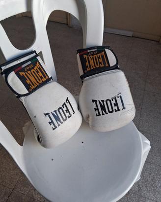 guantoni leoni da box