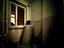 Immagine 17