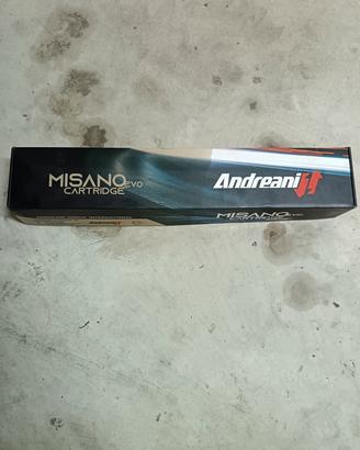 Cartucce Andreani Misano evo street triple 675