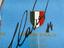 Immagine 5