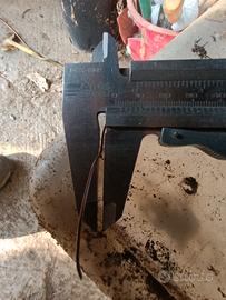 cavo elettrico 