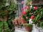 Immagine 18