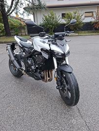 Honda hornet 1000