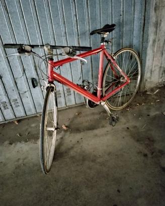 Bicicletta da corsa 