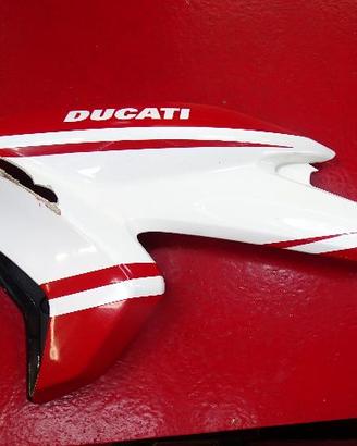CARENA SX DUCATI HYPERMOTARD 821 SP