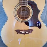 Chitarra acustica WASHBURN J28SDL