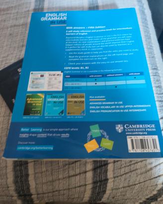 English grammat in use
