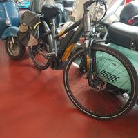 bicicletta elettrica 