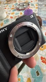 Sony alpha 6400 + sigma 30mm f1.4