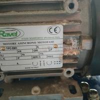 irroratrice a cariola 220v