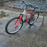 bicicletta