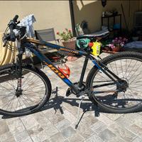 bottecchia