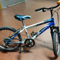 bici olmo