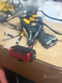 cablaggio starline davinci serie 2 per yamaha R1