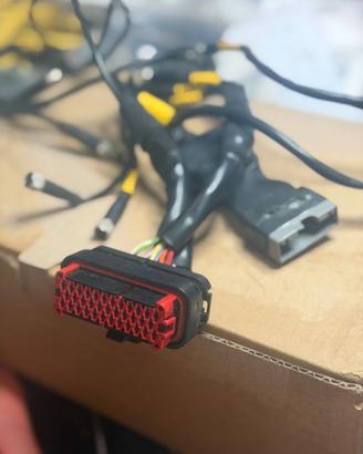 cablaggio starline davinci serie 2 per yamaha R1