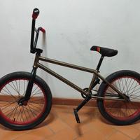 BMX Freestyle  Envy WTP – Appena Tagliandata
