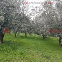 Terreno Residenziale Boville Ernica (Casavitola)