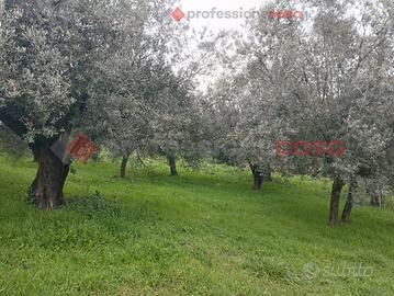 Terreno Residenziale Boville Ernica (Casavitola)