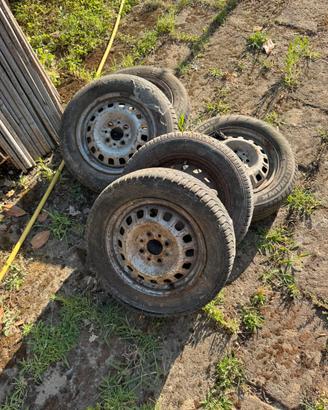 5 gomme 135 80 13
