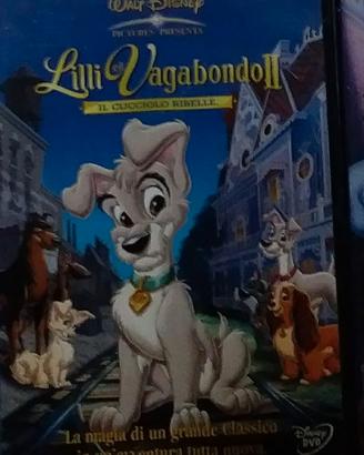 DVD E VHS