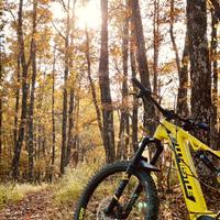 Ebike Whistle Show rc