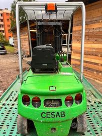 Muletto cesab
