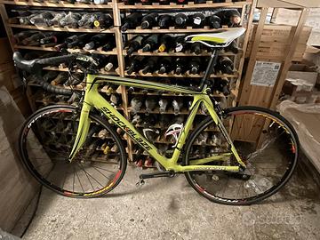 Bici da corsa
