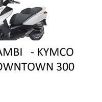 RICAMBI KYMCO DOWNTOWN 300 ABS 2011 CRUSCOTTO STRU