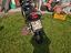 Immagine 2