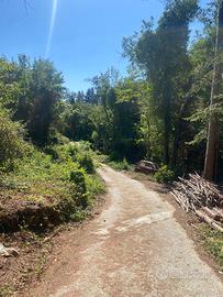 Terreno 9.280 mq con sorgenti Ceriana (IM)