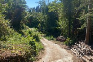 Terreno 9.280 mq con sorgenti Ceriana (IM)