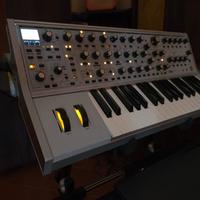 Moog Subsequent 37 CV edizione limitata