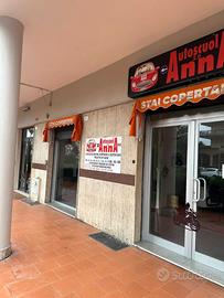 Titolare di scuola guida