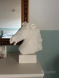 Testa di cavallo gesso